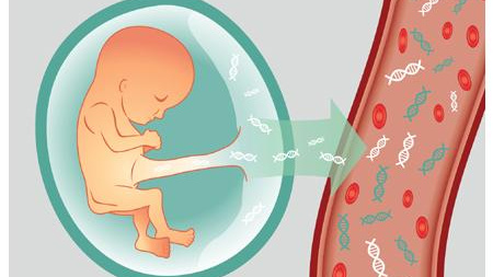 做dna 需要多少头发可以做