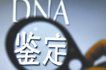 dna鉴定需要提供什么