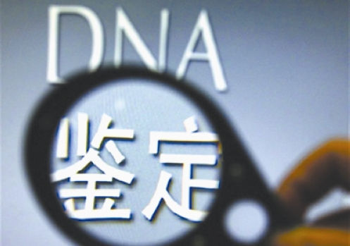 dna结果怎么看