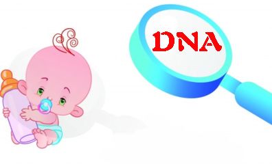 dna检测毛发样本有什么要求